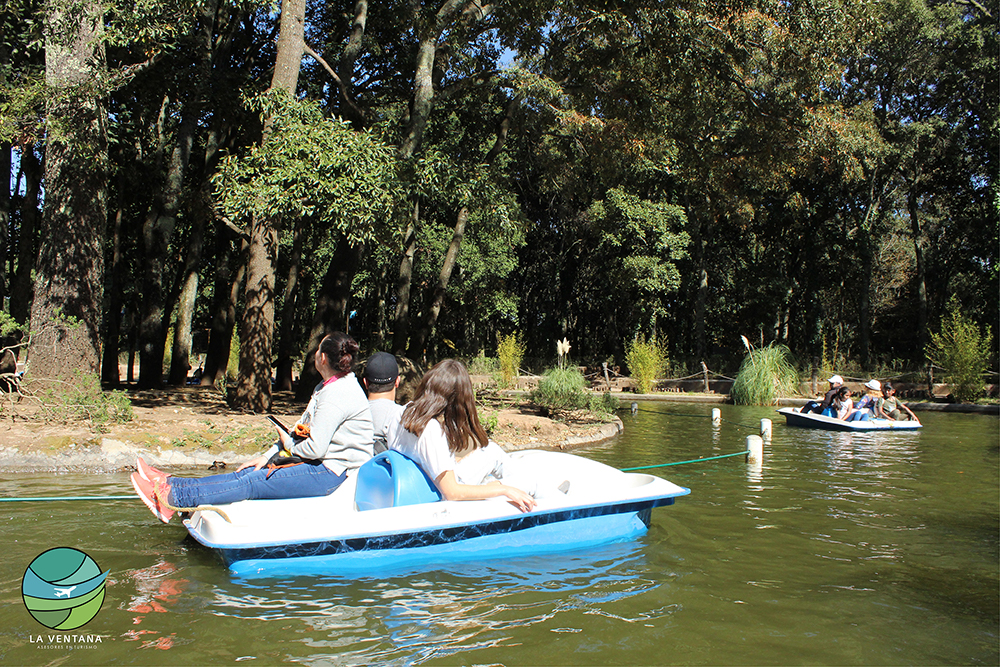 Lanchas Bioparque