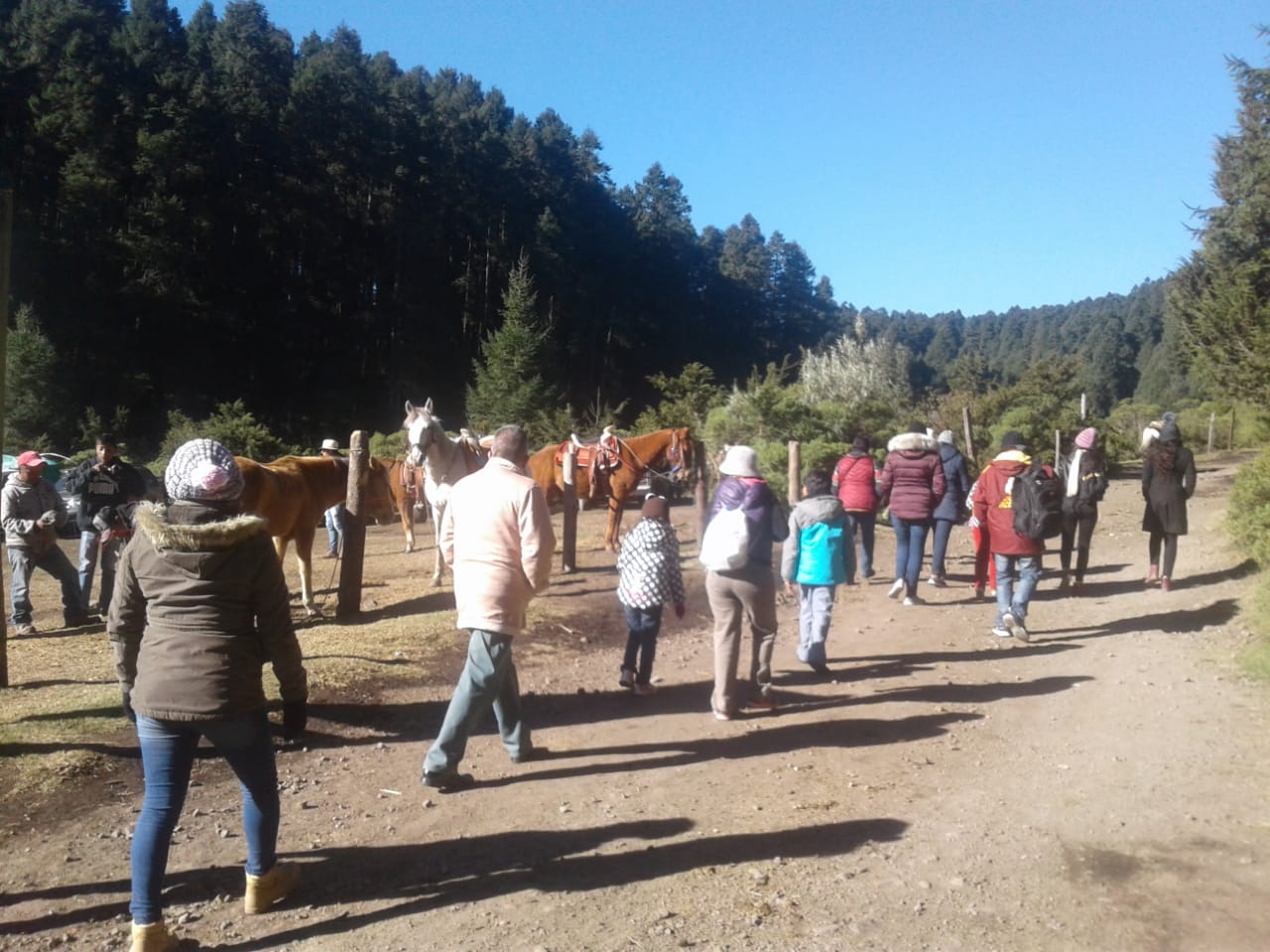 santuario mariposa monarca sierra chincua