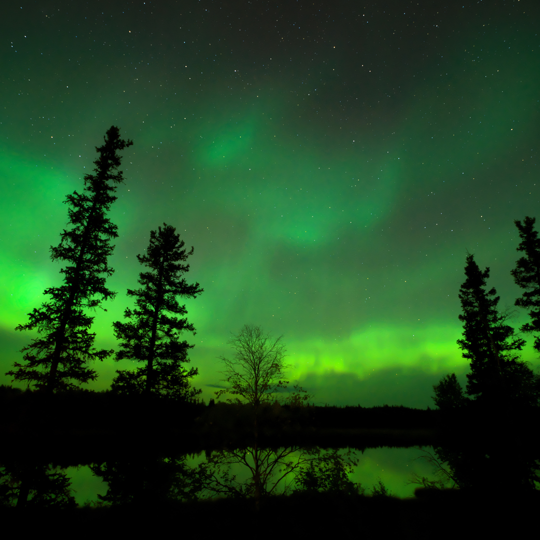 tours en yellowknife