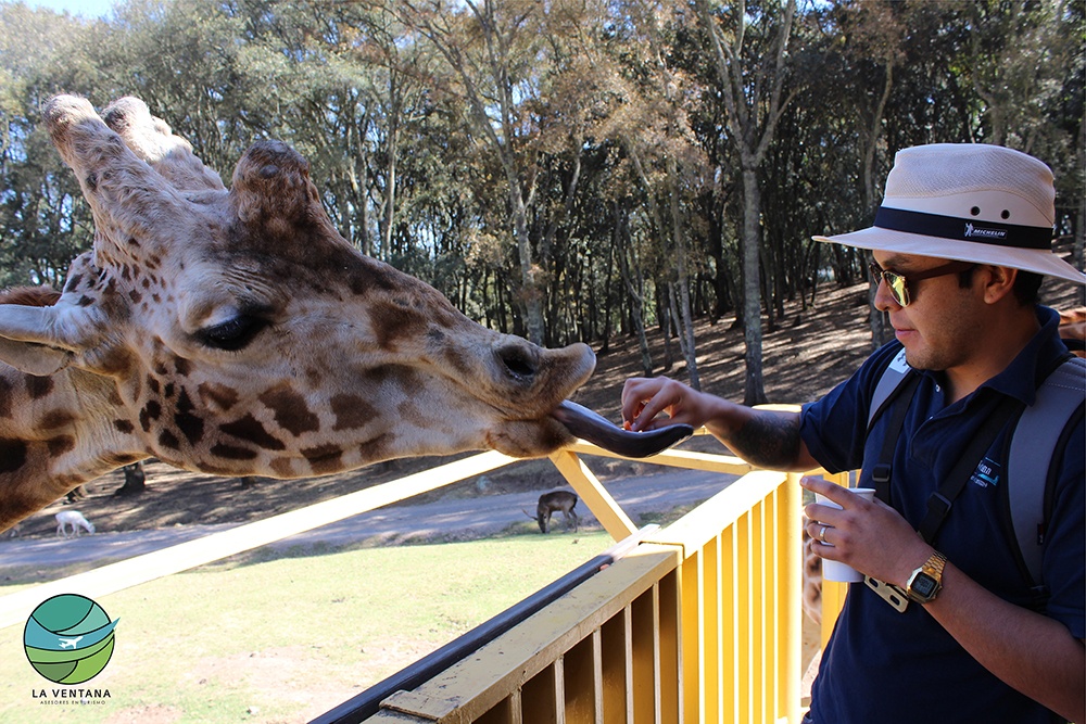 Imagen Bioparque